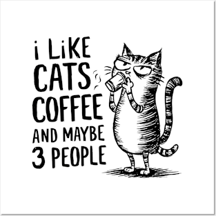 I Like Cats and Maybe 3 People | Sarcasm Posters and Art